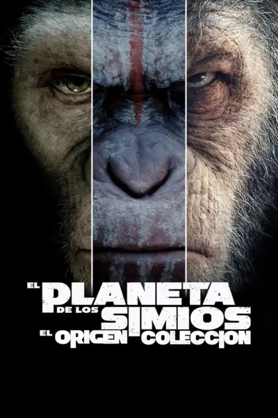El planeta de los simios saga completa Cuevana Online Gratis Latino HD